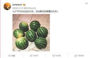 西瓜条特效爆料娱乐圈,娱乐圈幕后秘闻大揭秘